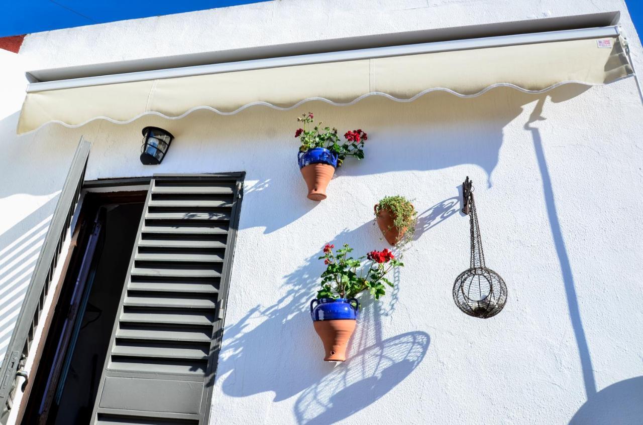 Alohamundi Campana Apartment Seville Ngoại thất bức ảnh
